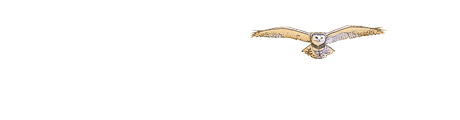 L’Harfang des Neiges — Accueil